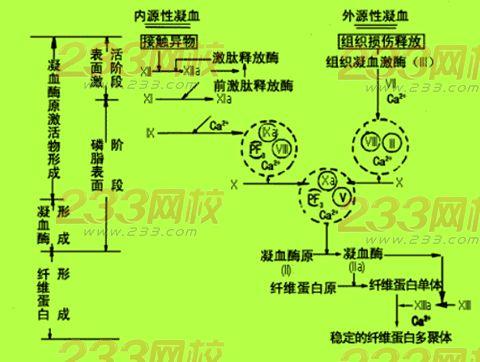 开云电竞，开云综合 安卓软件下载v1.8.1 东亚杯预选赛-浦玮破门马晓旭两球女足6-0香港_开云电竞，开云综合