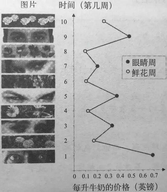 开云电竞，开云综合