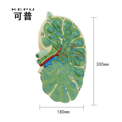  秀居网