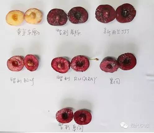 开云电竞，开云综合 安卓软件下载v1.8.1 【开云电竞，开云综合】旅游扶贫面临多重掣肘因素