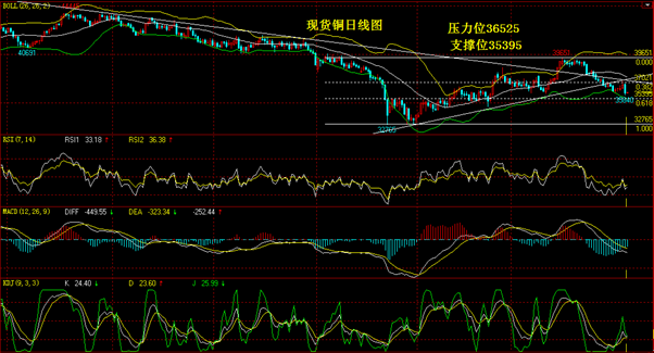 开云电竞，开云综合 安卓软件下载v1.8.1 